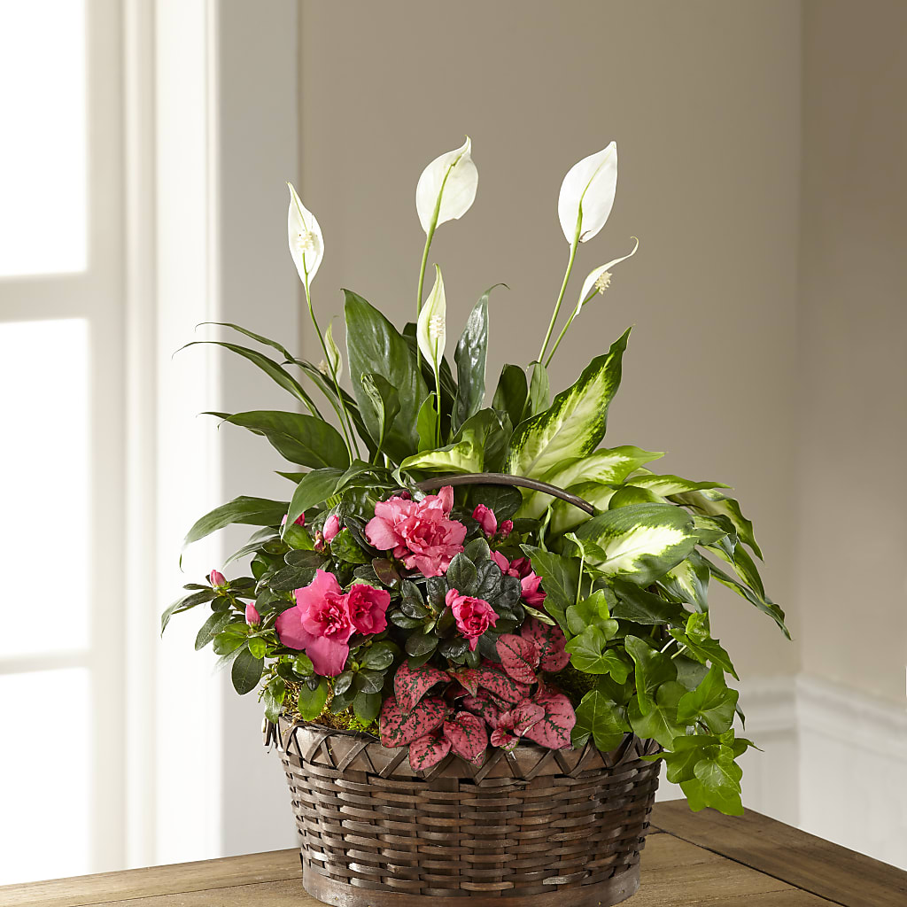 Dream in Pink Dishgarden – FLOWERS BY BAUERS & GREENHOUSE, Jarrettsville MD