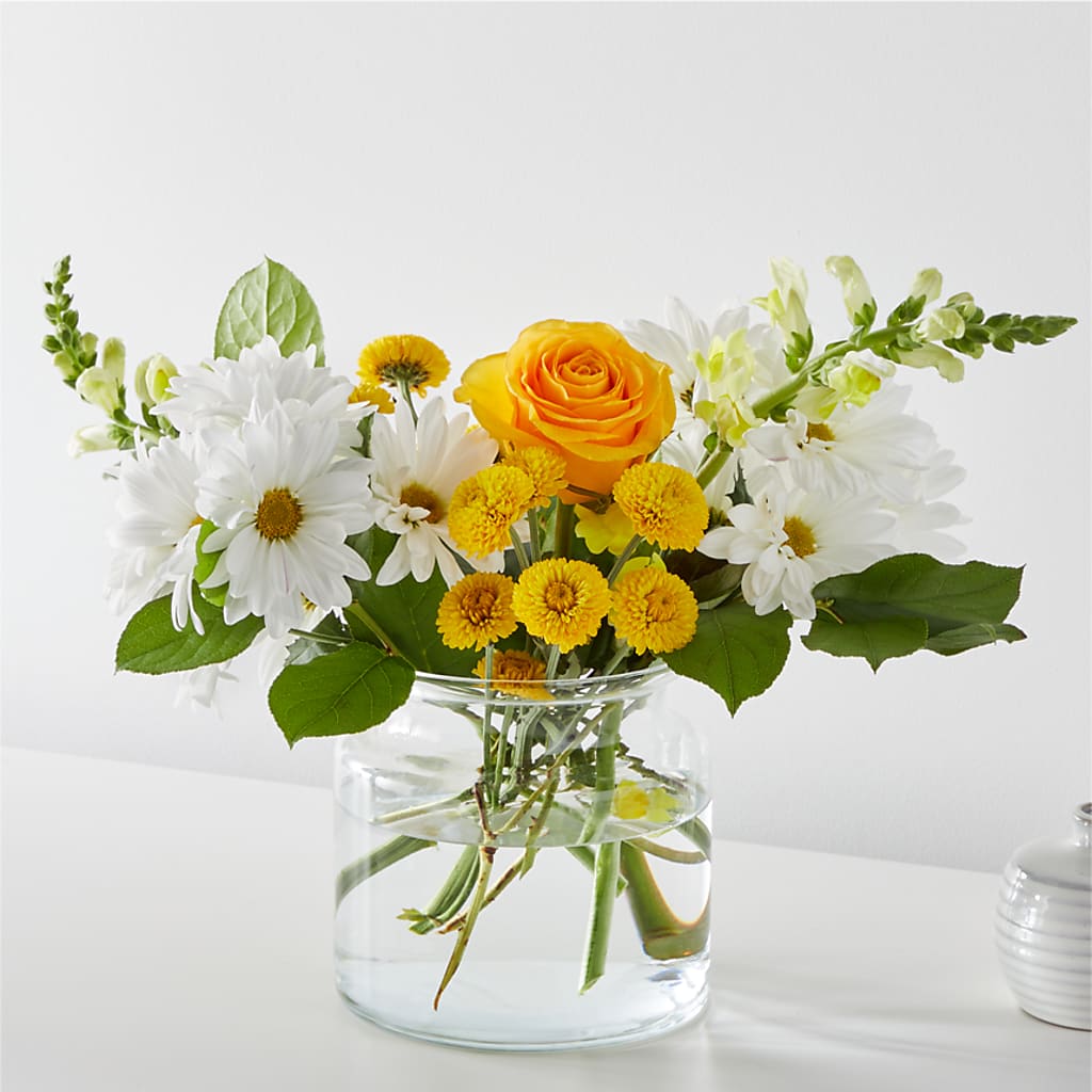 Sun Salutation Bouquet – FLOWERS BY BAUERS & GREENHOUSE, Jarrettsville MD