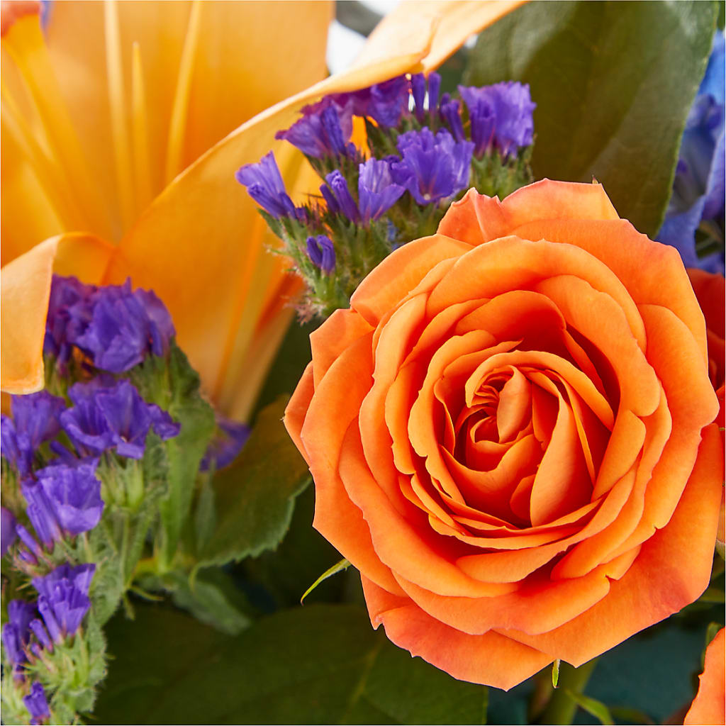 Radiant Citrus Box Bouquet – FLOWERS BY BAUERS & GREENHOUSE, Jarrettsville MD