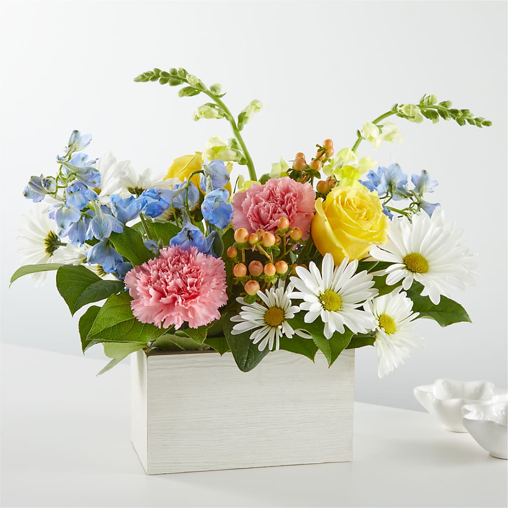 Sun Salutation Box Bouquet – FLOWERS BY BAUERS & GREENHOUSE, Jarrettsville MD