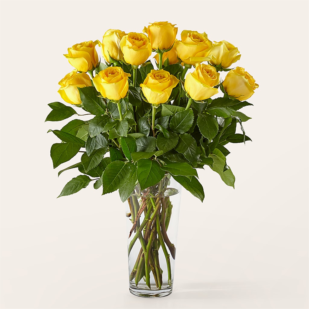 Long Stem Yellow Rose Bouquet – FLOWERS BY BAUERS & GREENHOUSE, Jarrettsville MD