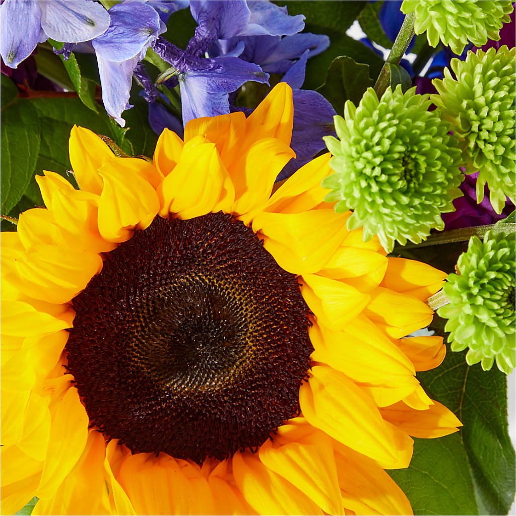 Catching Rays Bouquet – FLOWERS BY BAUERS & GREENHOUSE, Jarrettsville MD