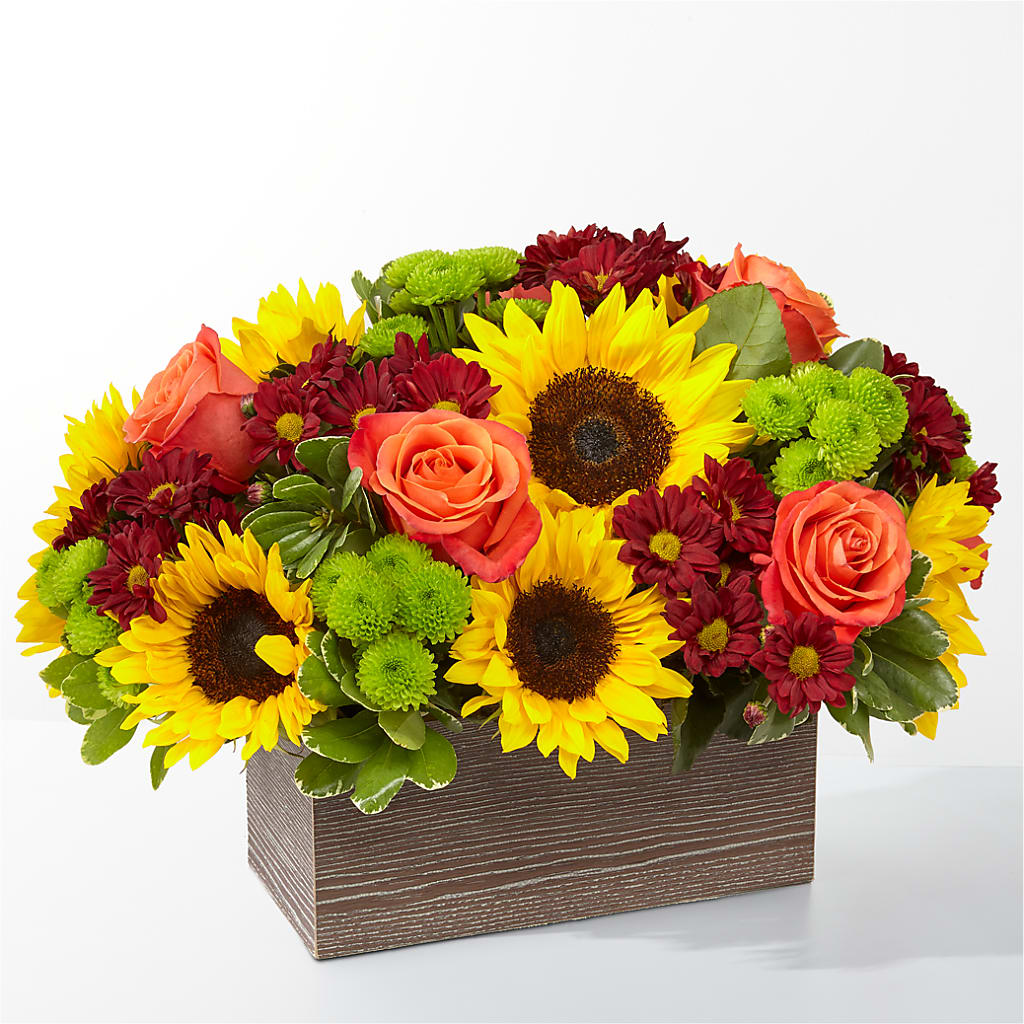 Happy Harvest Garden – FLOWERS BY BAUERS & GREENHOUSE, Jarrettsville MD