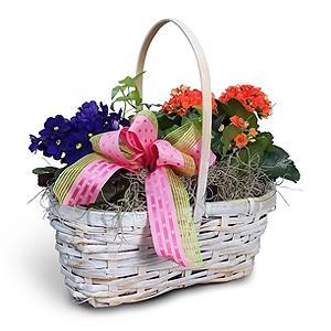 Flowers By Bauers Blooming Garden Basket – FLOWERS BY BAUERS & GREENHOUSE, Jarrettsville MD