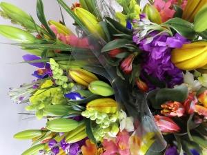 8 Stem Cut of the Day – FLOWERS BY BAUERS & GREENHOUSE, Jarrettsville MD
