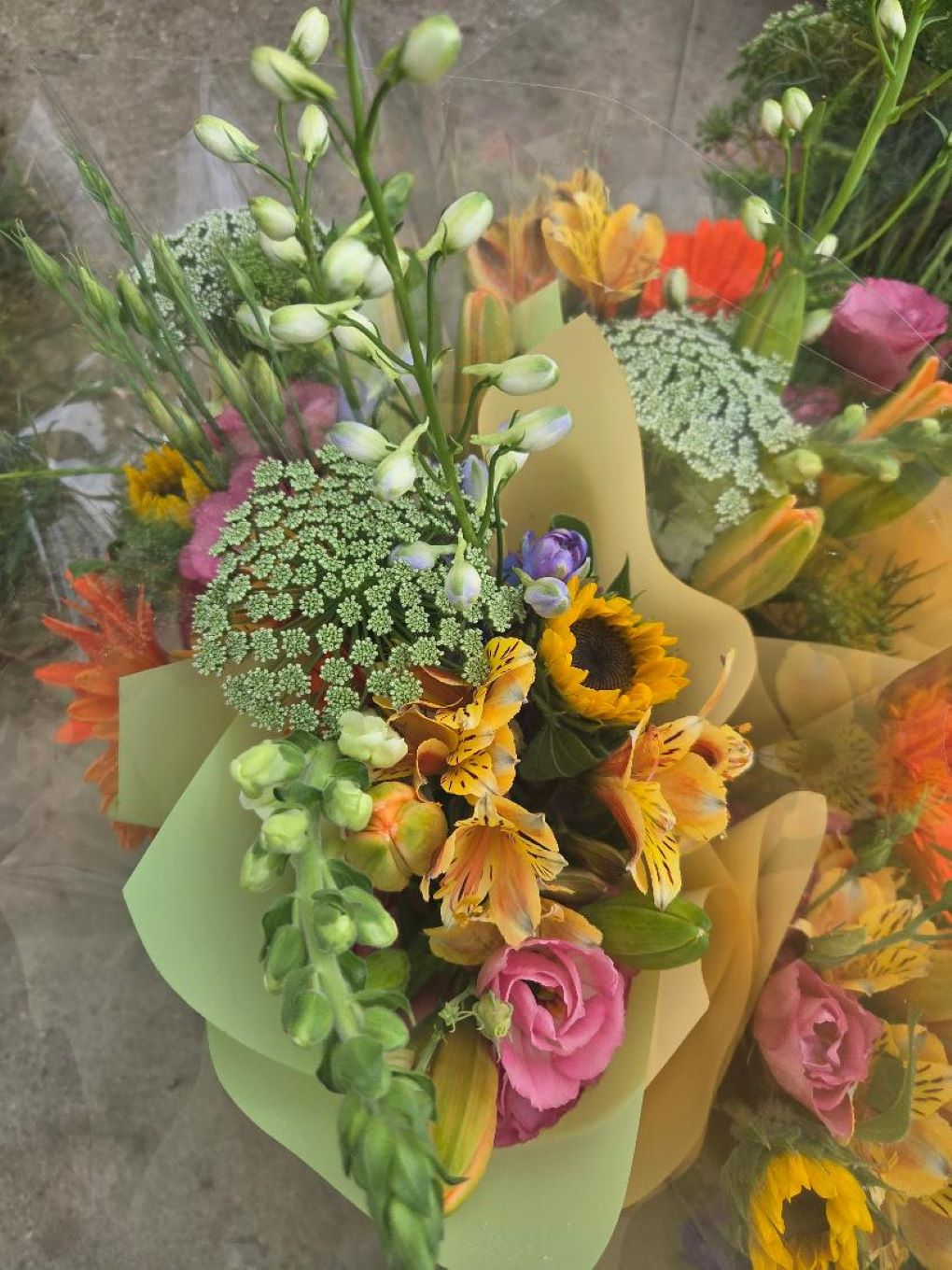 8 Stem Cut of the Day – FLOWERS BY BAUERS & GREENHOUSE, Jarrettsville MD