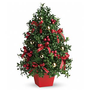 Flowers By Bauers Deck The Halls Tree