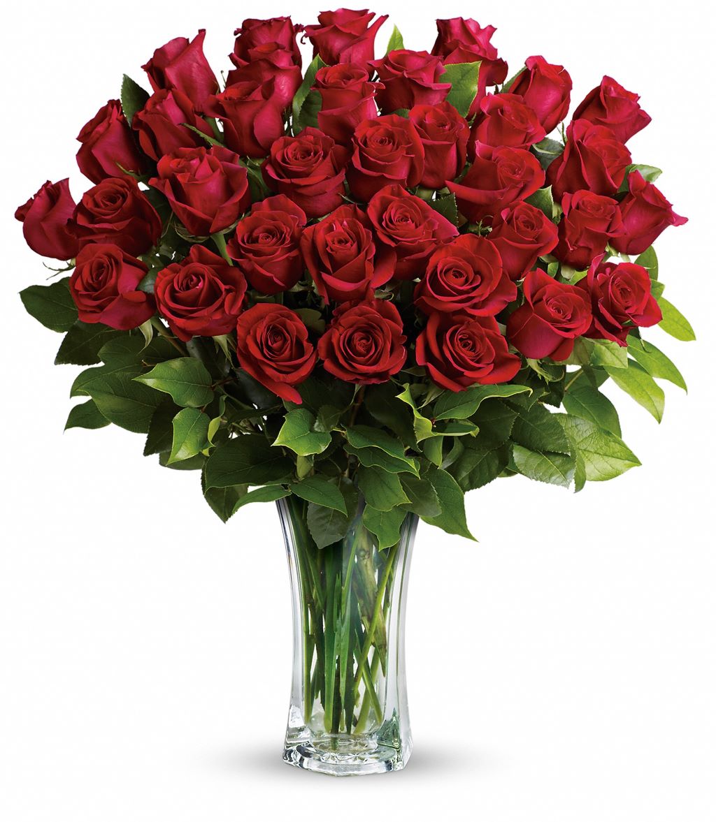 Three Dozen Red Roses Vased