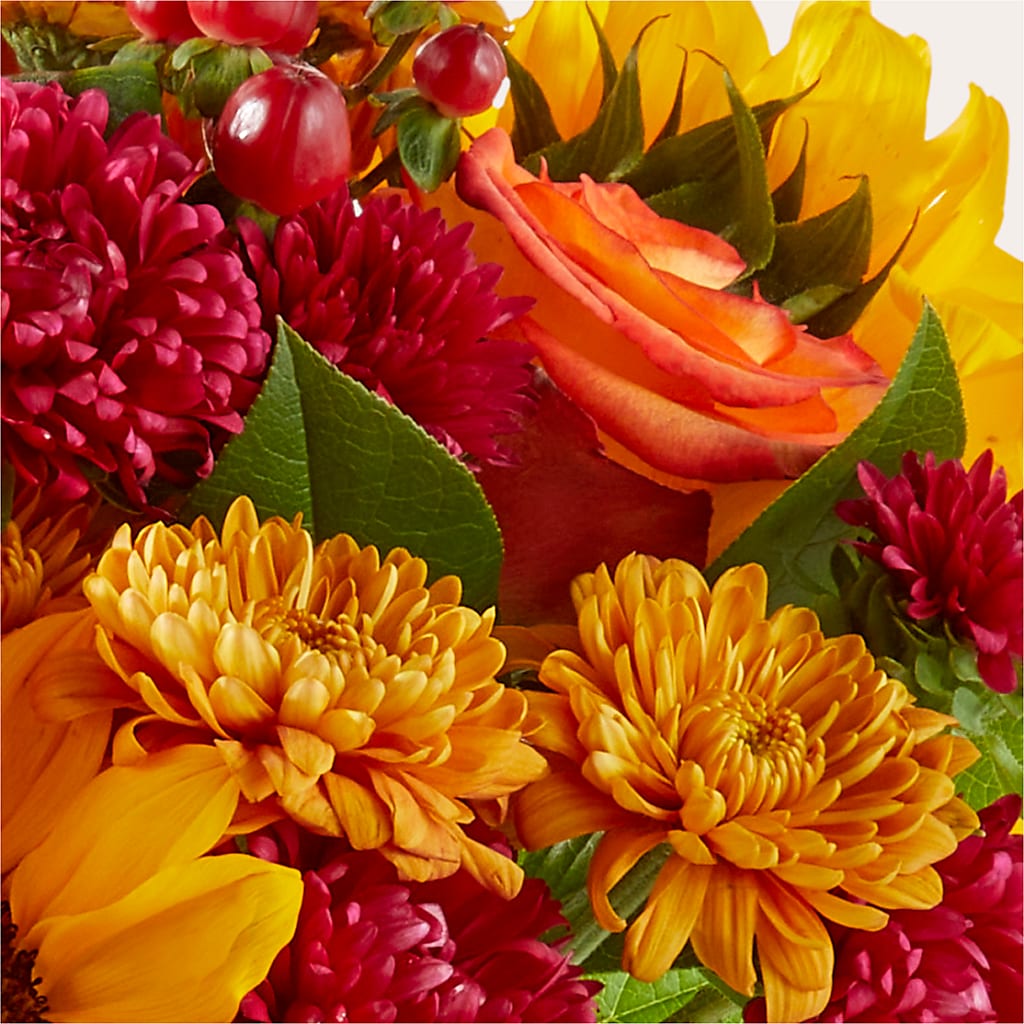 Sweater Season - A Florist Original – FLOWERS BY BAUERS & GREENHOUSE, Jarrettsville MD