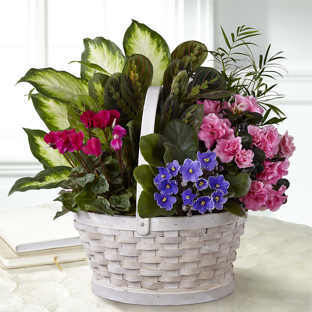 Peaceful Garden Planter – FLOWERS BY BAUERS & GREENHOUSE, Jarrettsville MD