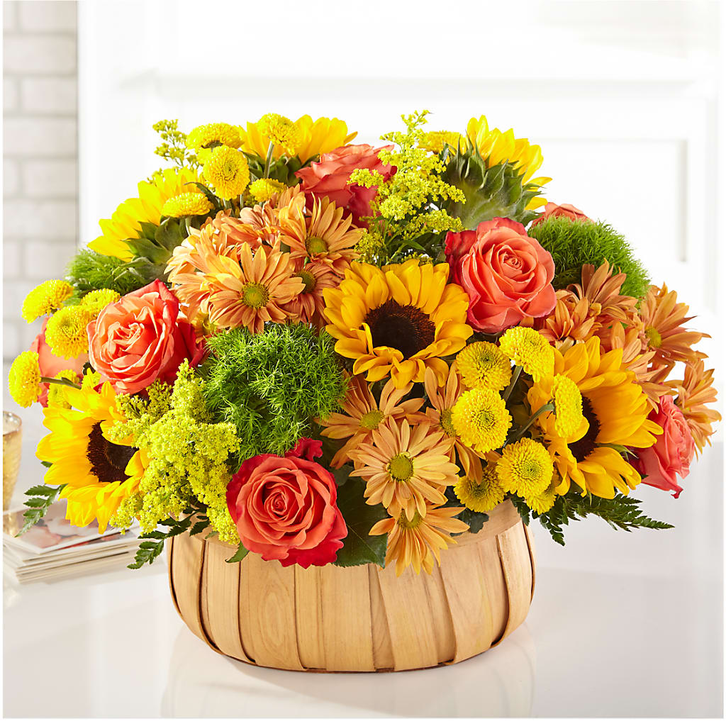 Harvest Sunflower Basket – FLOWERS BY BAUERS & GREENHOUSE, Jarrettsville MD
