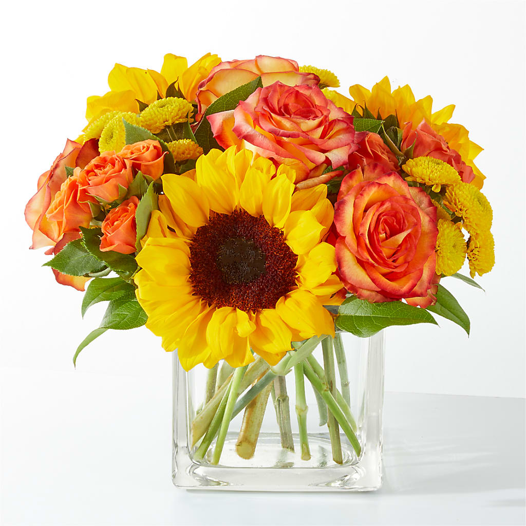 Picnic in the Park Bouquet – FLOWERS BY BAUERS & GREENHOUSE, Jarrettsville MD