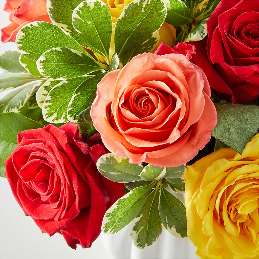 Gourd of Gratitude – FLOWERS BY BAUERS & GREENHOUSE, Jarrettsville MD