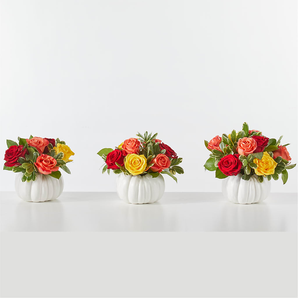 Gourd of Gratitude – FLOWERS BY BAUERS & GREENHOUSE, Jarrettsville MD