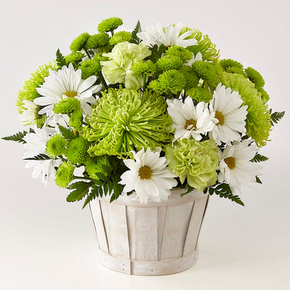 Lucky Charm Basket (Standard) – FLOWERS BY BAUERS & GREENHOUSE, Jarrettsville MD