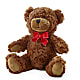 Adorable Plush Bear – FLOWERS BY BAUERS & GREENHOUSE, Jarrettsville MD