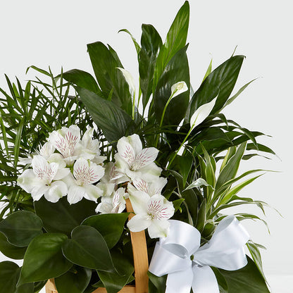 Peace & Serenity Dishgarden – FLOWERS BY BAUERS & GREENHOUSE, Jarrettsville MD