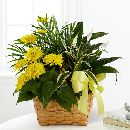 Loving Light Dishgarden – FLOWERS BY BAUERS & GREENHOUSE, Jarrettsville MD