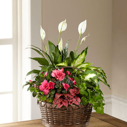 Dream in Pink Dishgarden – FLOWERS BY BAUERS & GREENHOUSE, Jarrettsville MD
