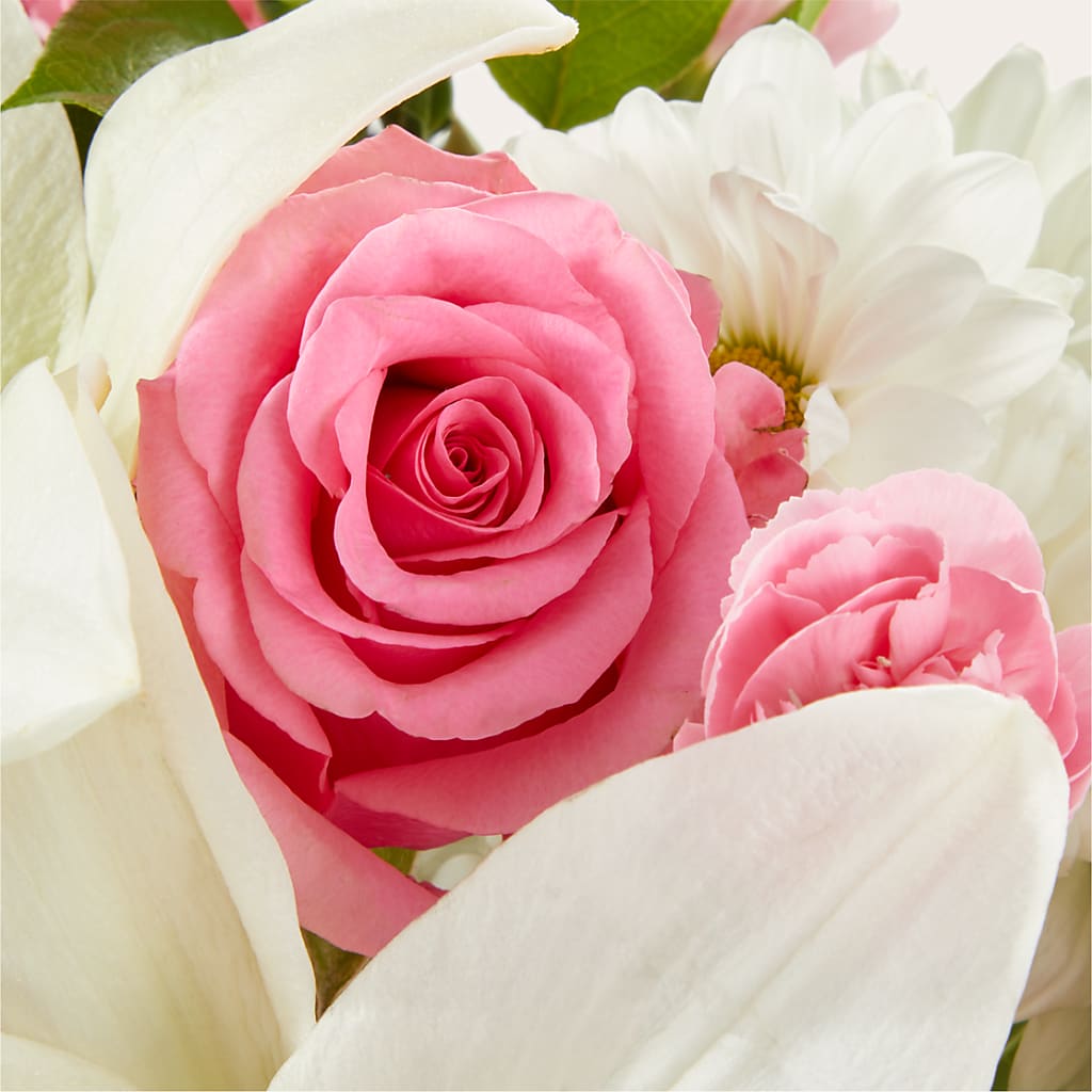 Whispers of Comfort Bouquet – FLOWERS BY BAUERS & GREENHOUSE, Jarrettsville MD