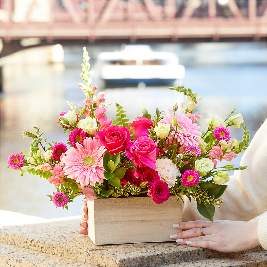 Too Cute Bouquet – FLOWERS BY BAUERS & GREENHOUSE, Jarrettsville MD