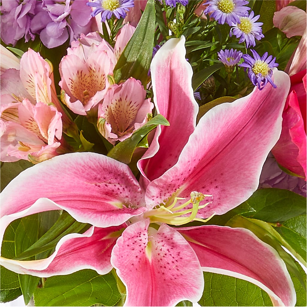 Written in the Stars Bouquet – FLOWERS BY BAUERS & GREENHOUSE, Jarrettsville MD