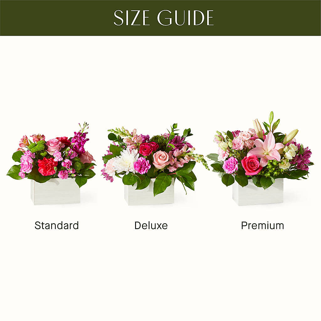 Sweetberry Box – A Florist Original – FLOWERS BY BAUERS & GREENHOUSE, Jarrettsville MD