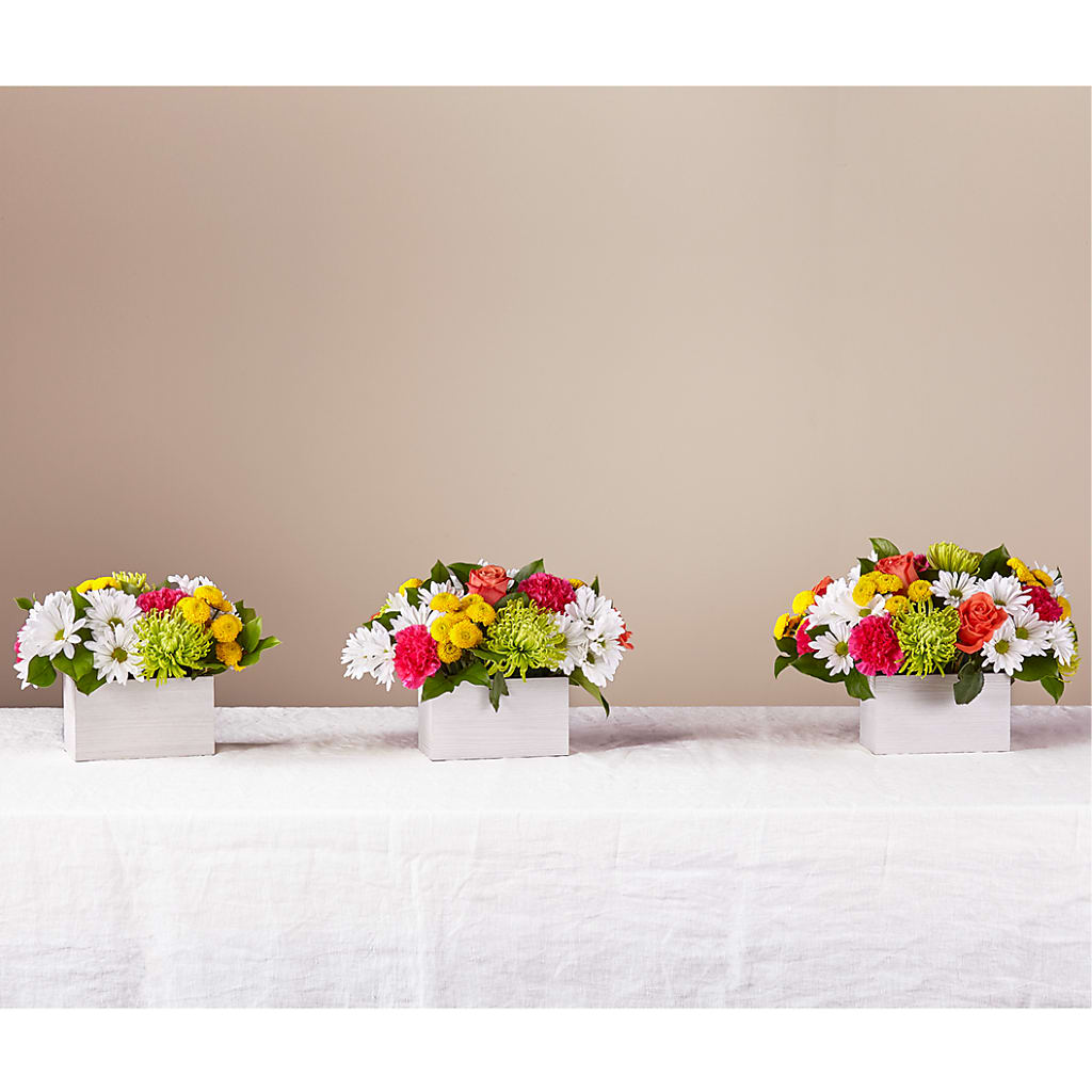 Sorbet Bouquet – FLOWERS BY BAUERS & GREENHOUSE, Jarrettsville MD