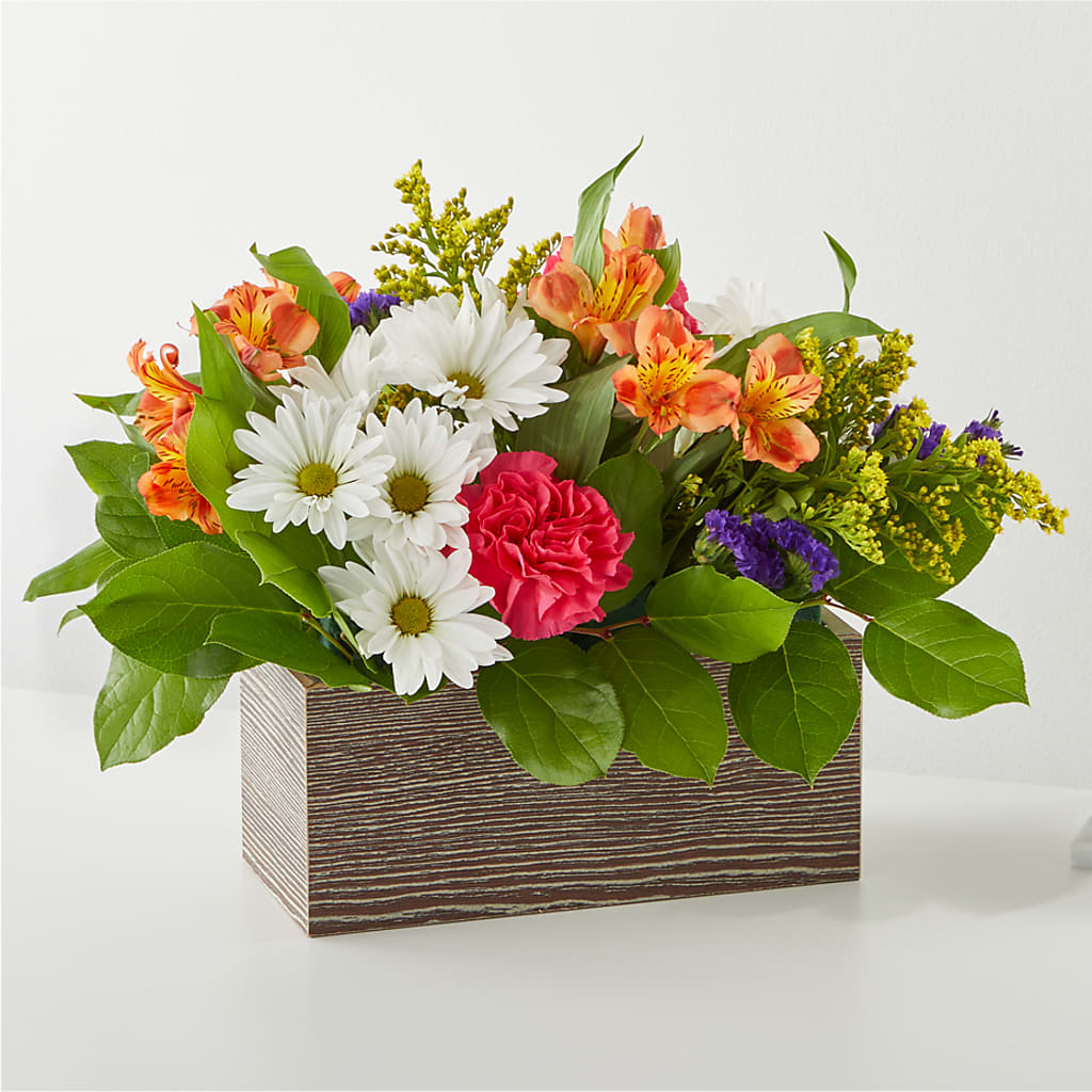 Oopsie Daisy Box Bouquet – FLOWERS BY BAUERS & GREENHOUSE, Jarrettsville MD