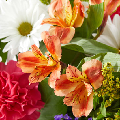 Oopsie Daisy Box Bouquet – FLOWERS BY BAUERS & GREENHOUSE, Jarrettsville MD