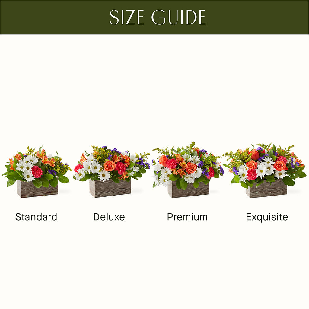 Oopsie Daisy Box Bouquet – FLOWERS BY BAUERS & GREENHOUSE, Jarrettsville MD