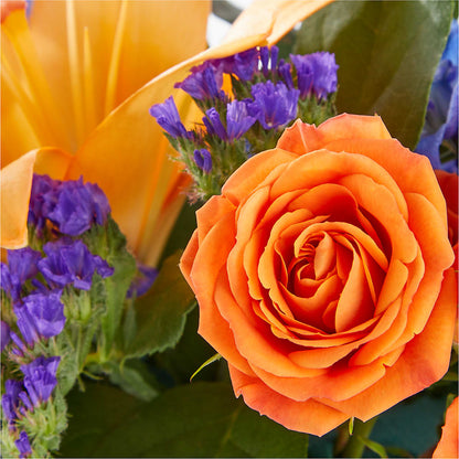 Radiant Citrus Box Bouquet – FLOWERS BY BAUERS & GREENHOUSE, Jarrettsville MD
