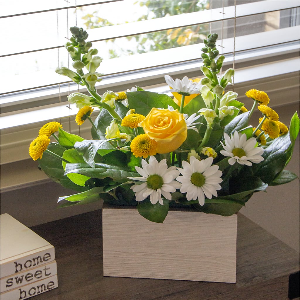 Sun Salutation Box Bouquet – FLOWERS BY BAUERS & GREENHOUSE, Jarrettsville MD