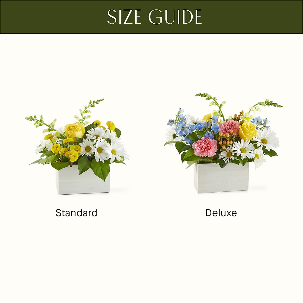 Sun Salutation Box Bouquet – FLOWERS BY BAUERS & GREENHOUSE, Jarrettsville MD