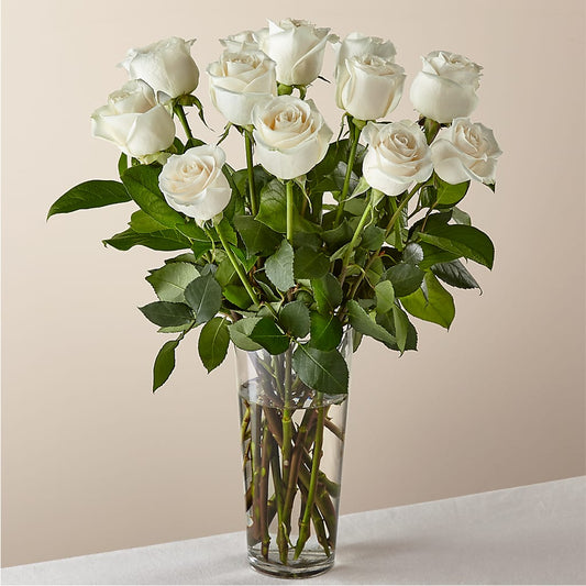 Long Stem White Rose Bouquet – FLOWERS BY BAUERS & GREENHOUSE, Jarrettsville MD