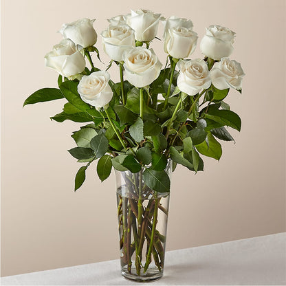 Long Stem White Rose Bouquet – FLOWERS BY BAUERS & GREENHOUSE, Jarrettsville MD