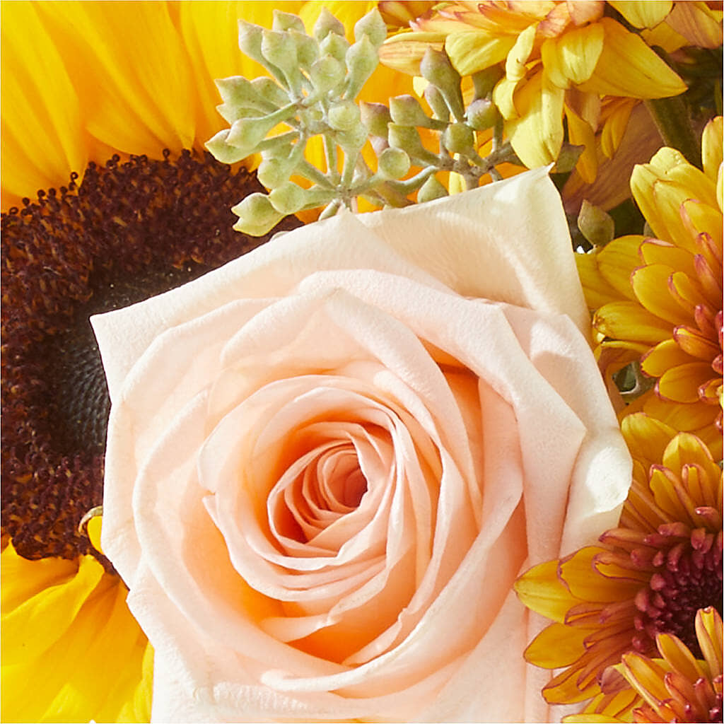 Pumpkin to Talk About Bouquet – FLOWERS BY BAUERS & GREENHOUSE, Jarrettsville MD