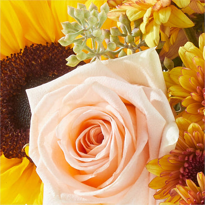 Pumpkin to Talk About Bouquet – FLOWERS BY BAUERS & GREENHOUSE, Jarrettsville MD