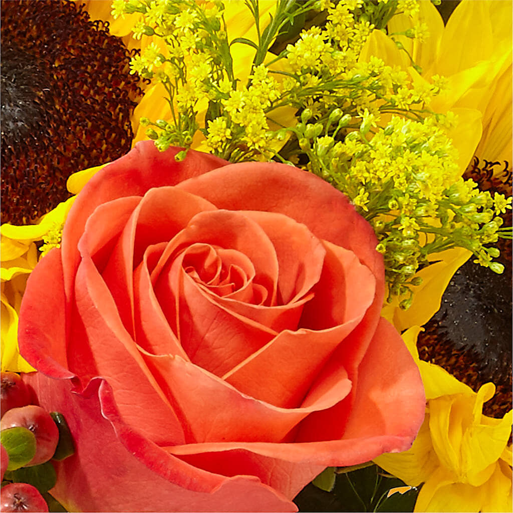 Pick of the Patch Pumpkin Bouquet – FLOWERS BY BAUERS & GREENHOUSE, Jarrettsville MD
