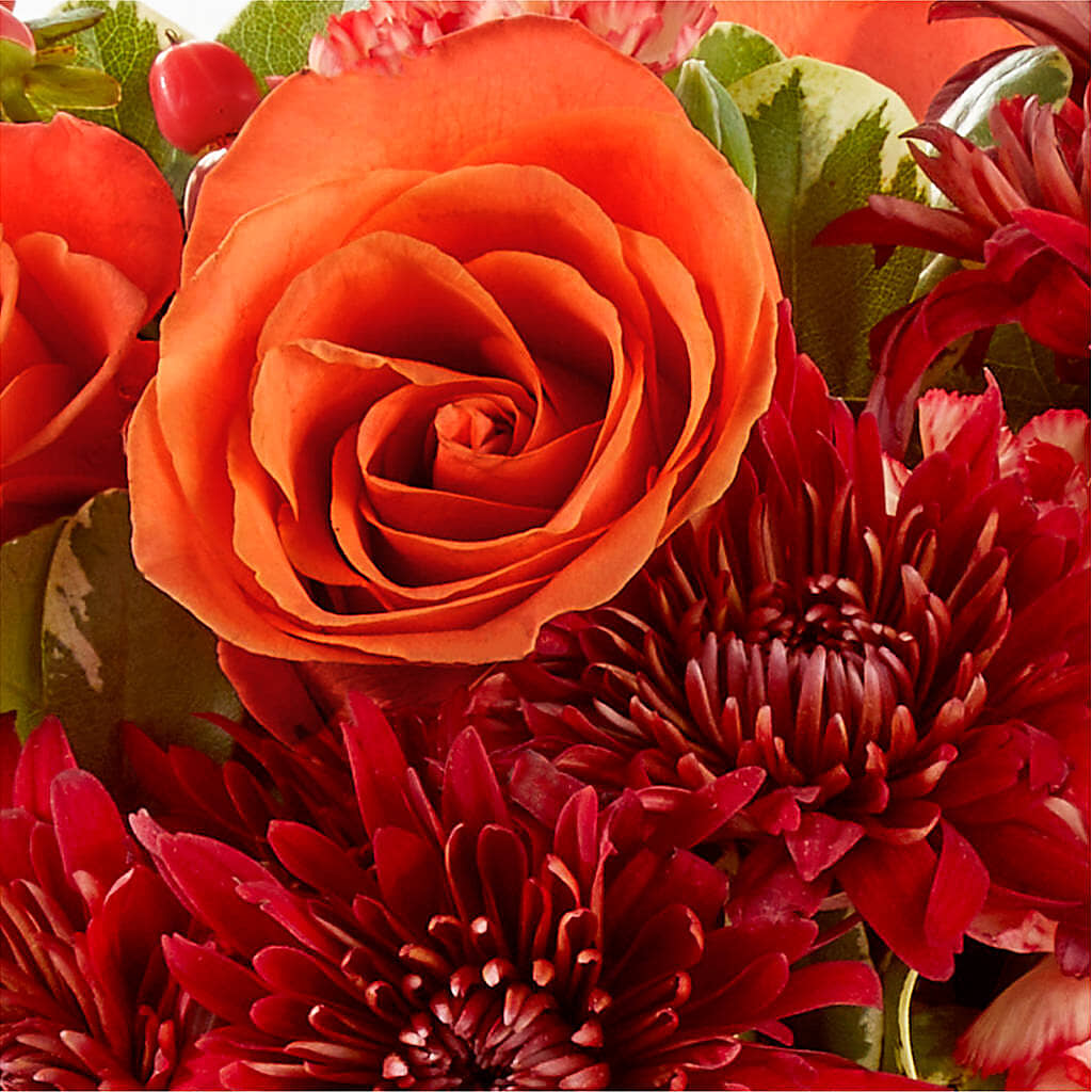 Autumn Air Pumpkin Bouquet – FLOWERS BY BAUERS & GREENHOUSE, Jarrettsville MD