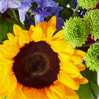 Catching Rays Bouquet – FLOWERS BY BAUERS & GREENHOUSE, Jarrettsville MD