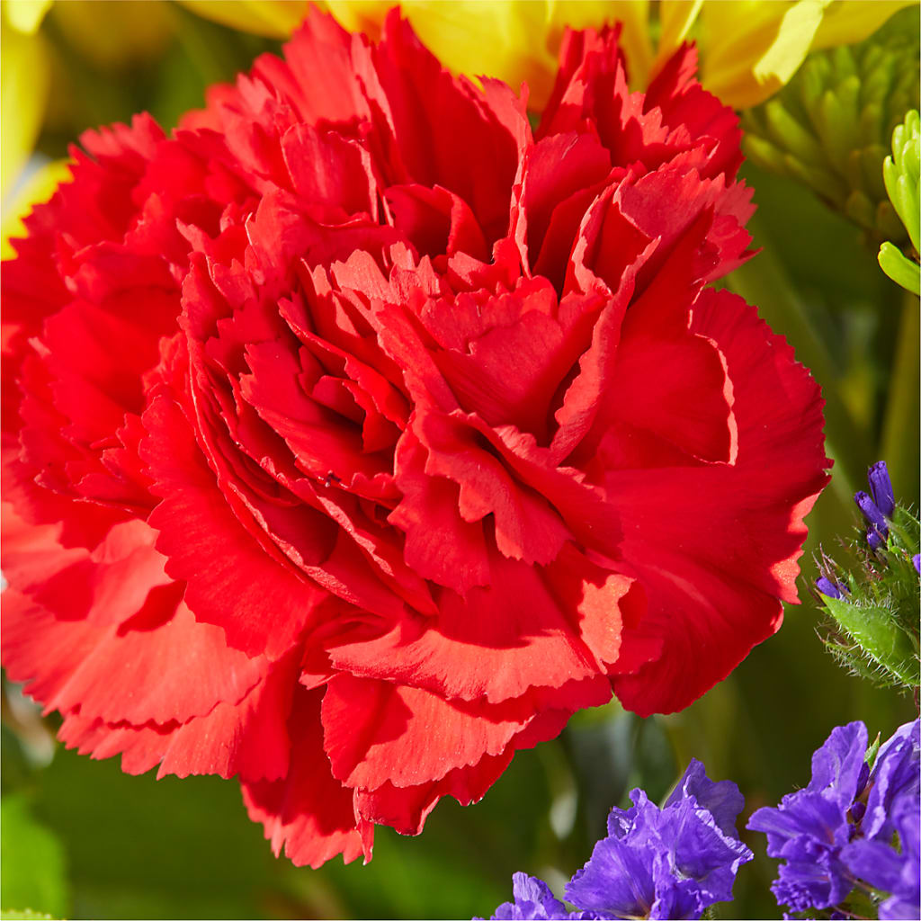Brighter Days Bouquet – FLOWERS BY BAUERS & GREENHOUSE, Jarrettsville MD
