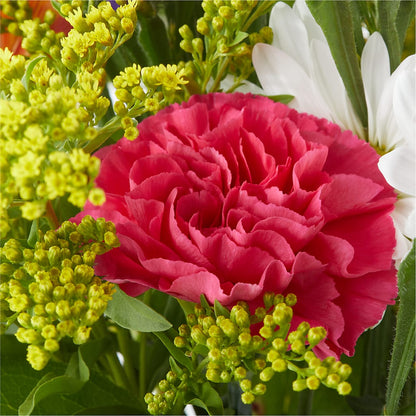Oopsie Daisy Bouquet – FLOWERS BY BAUERS & GREENHOUSE, Jarrettsville MD