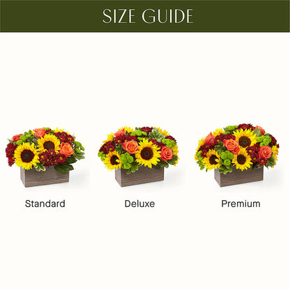 Happy Harvest Garden – FLOWERS BY BAUERS & GREENHOUSE, Jarrettsville MD