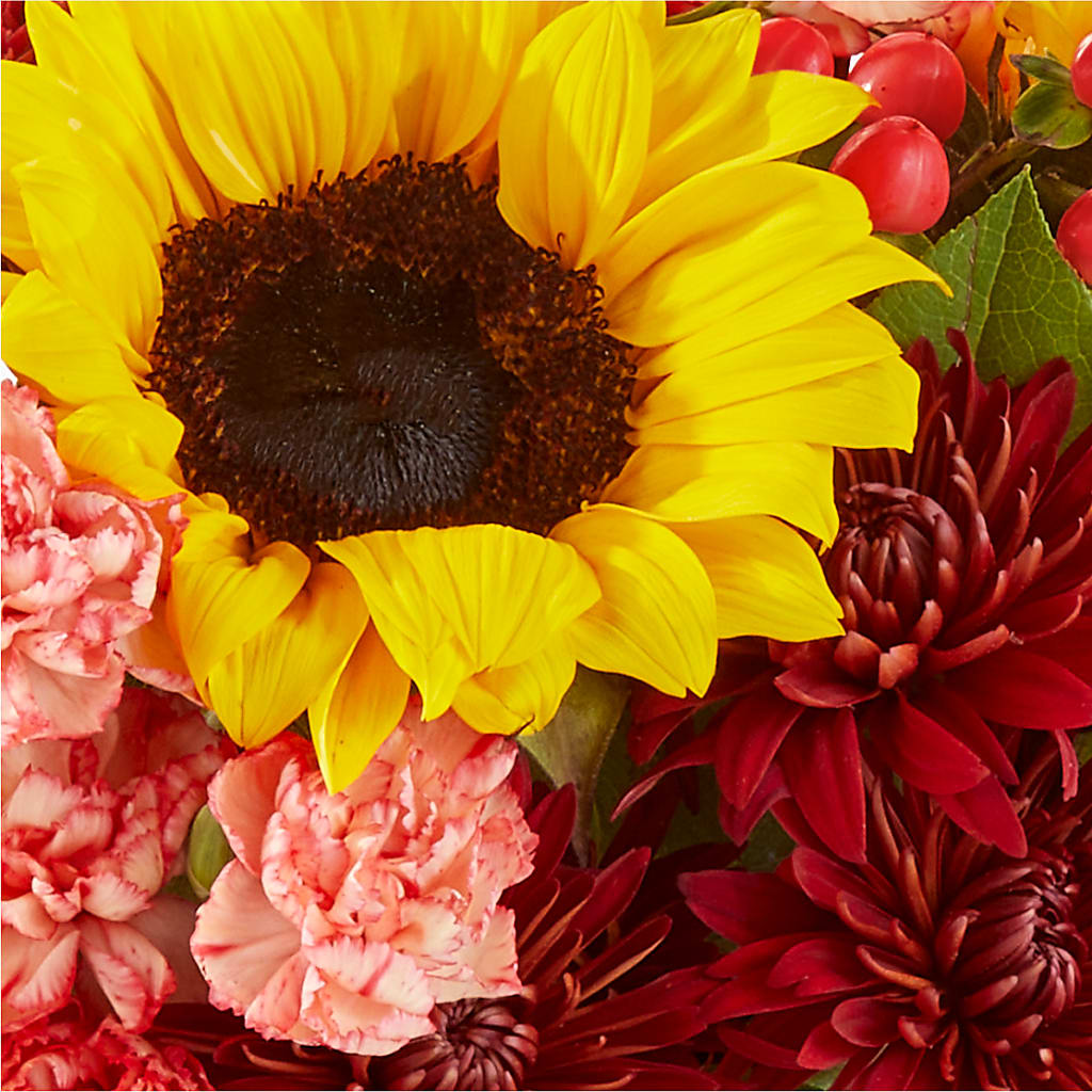Fresh Cider Bouquet – FLOWERS BY BAUERS & GREENHOUSE, Jarrettsville MD