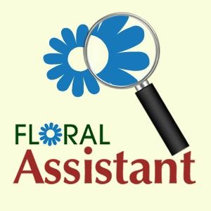 FLORAL ASSISTANT TOOL ID, Match & Share