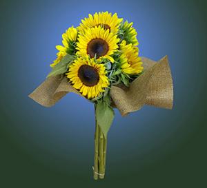 6 Stem Jarrettsville Sunflower Bouquet – FLOWERS BY BAUERS & GREENHOUSE, Jarrettsville MD