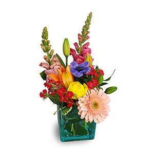 Fresh Aqua Pick Of The Day! Color Cube – FLOWERS BY BAUERS & GREENHOUSE, Jarrettsville MD