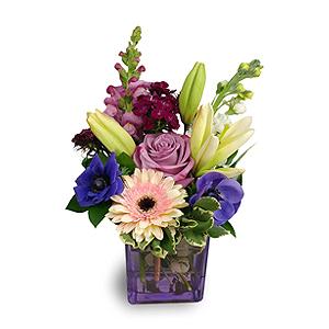 Fresh Lavender Pick Of The Day! Color Cube – FLOWERS BY BAUERS & GREENHOUSE, Jarrettsville MD