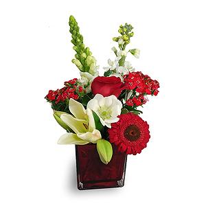 Fresh Pomegranate Pick Of The Day! Color Cube – FLOWERS BY BAUERS & GREENHOUSE, Jarrettsville MD